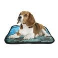 thumbnail image 2 of PKQWTM Underwater World Sea Ocean Shark Pet Dog Cat Bed Pee Pads Mat Cushion Potty Dogsblankets Crate Bed Kennel 36x48 inch, 2 of 3