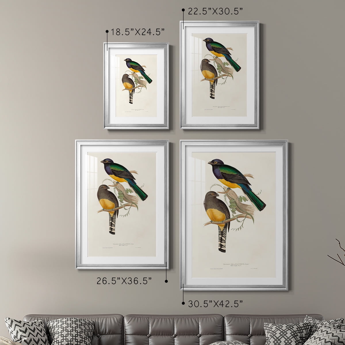 Wexford Home Elegant Trogons III Premium Framed Print, 18.5" x 24.5" - Ready to Hang, Silver (Set of 2)