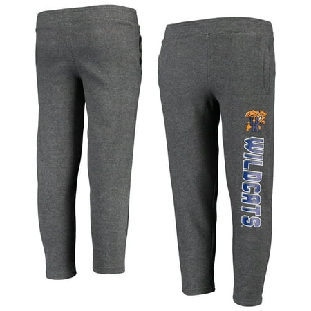 Youth Heathered Gray Kentucky Wildcats Fleece Pants