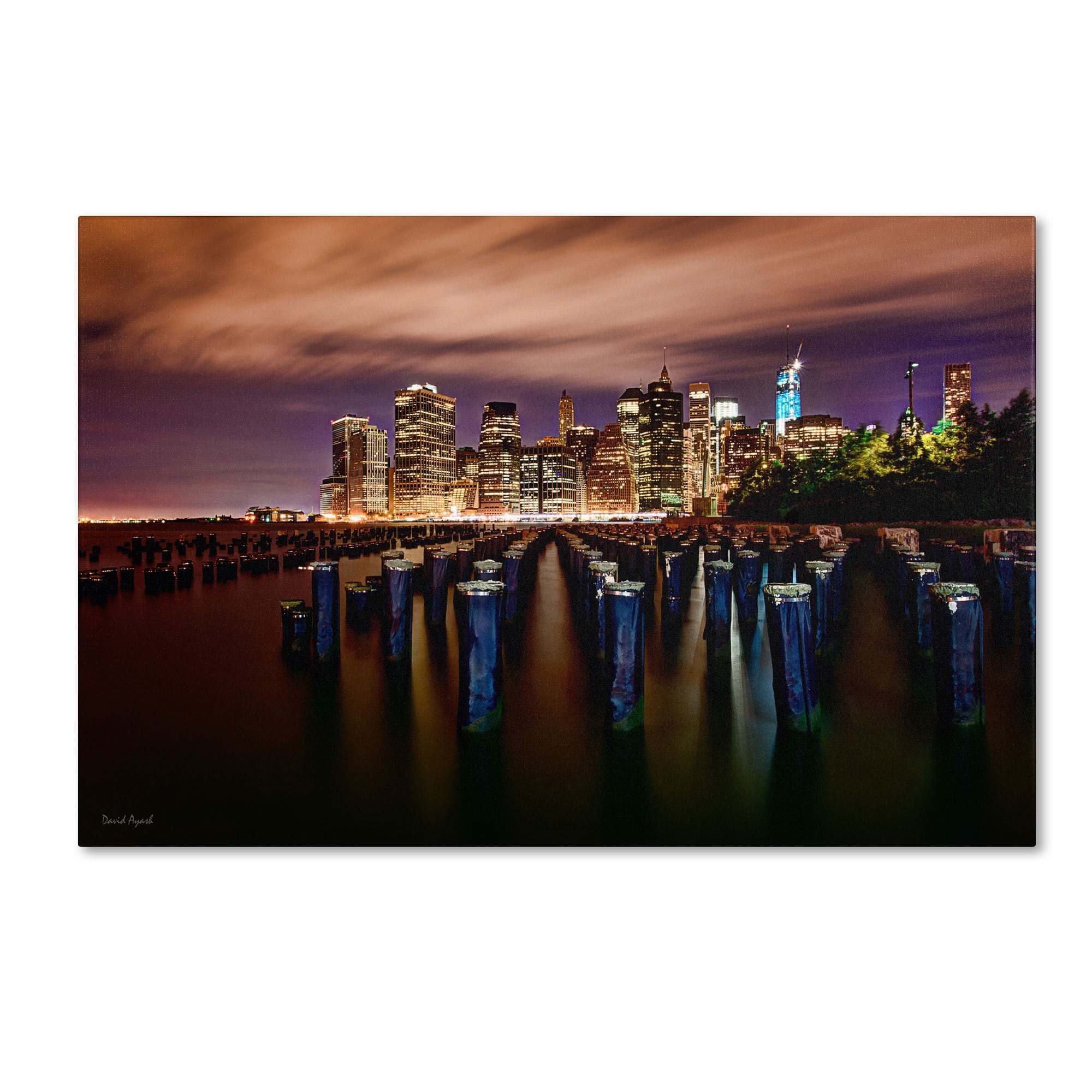 Trademark Fine Art "Brooklyn Bridge Park and Financial District - VI" Canvas Art by David Ayash