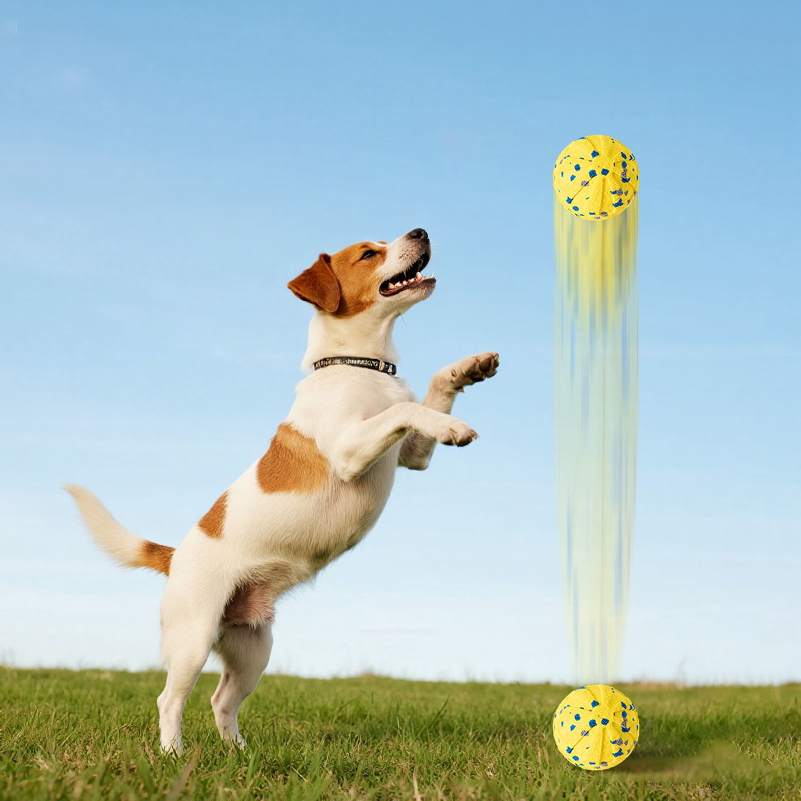 Pet Toys for Interactive Vibration Training Toy for Cats and Dogs Washable Energy Release Outdoor Indoor Soothing Entertainment