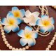 thumbnail image 2 of 200 Unidades de Flores Flotantes de Plumeria para, 2 of 9