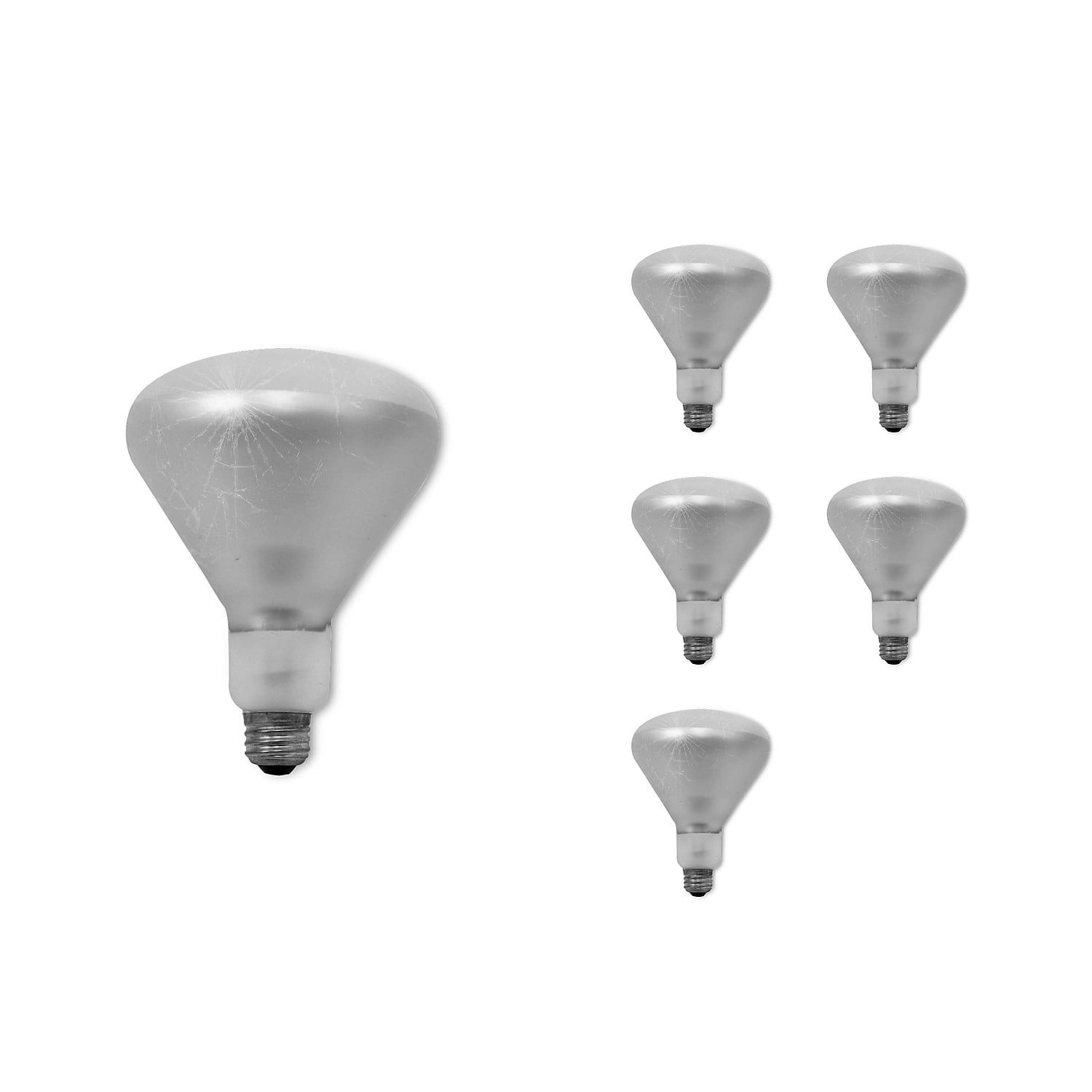 Bulbrite Incandescent BR40 Medium Screw Base (E26) Light Bulb 250 Watt Clear Tough Coat 6/Pack