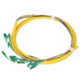thumbnail image 2 of LHCER 12 Strand Pigtail,Fiber Pigtail Cable Single Mode 12 Strand 1.5m Stable Fiber Optic Pigtail For Local Area Communication System,Fiber Optic Pigtail, 2 of 8