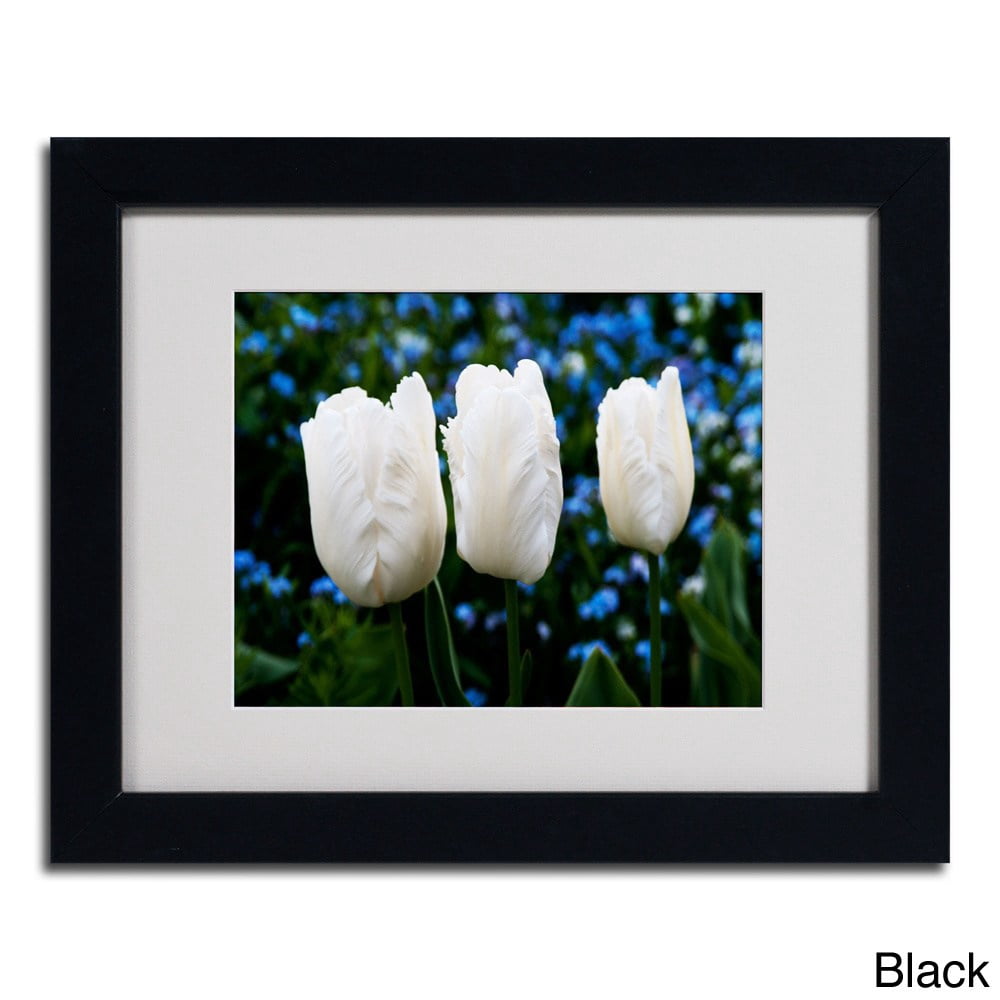 Trademark Fine Art "Three Parrot Tulips" by Kurt Shaffer, Wood Frame