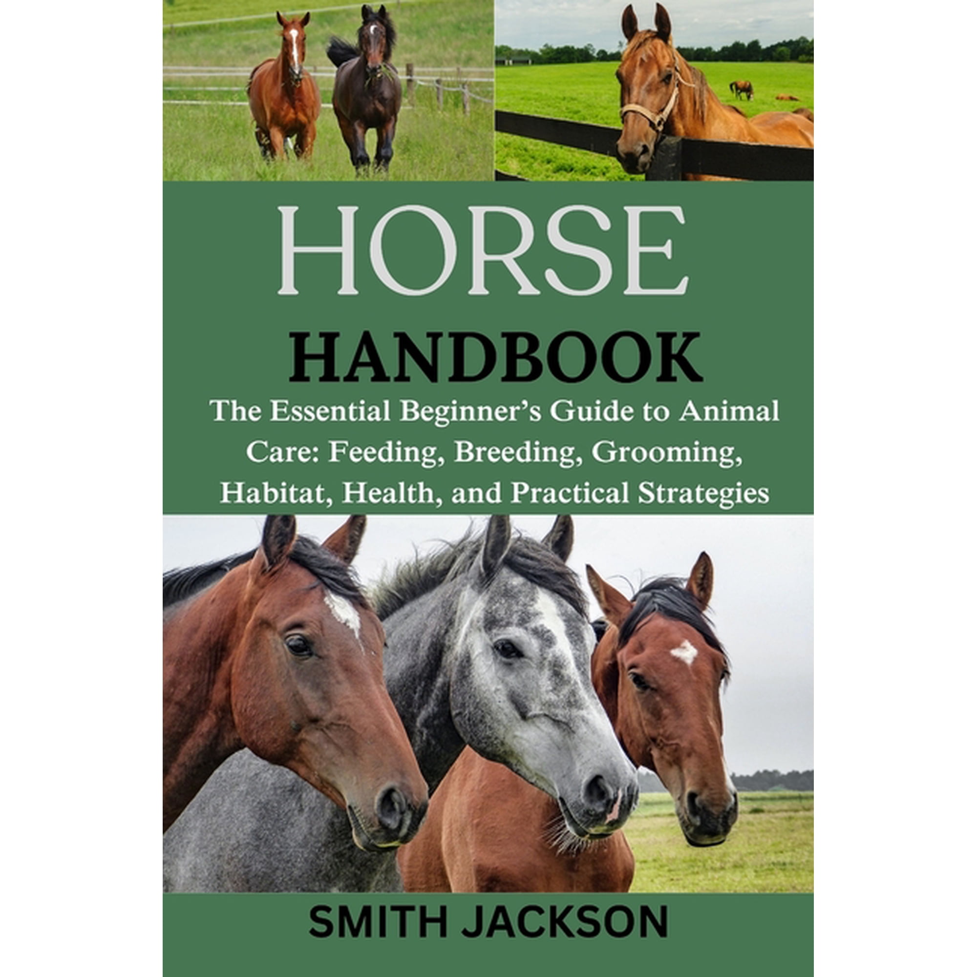 Horse: The Essential Beginner's Guide to Animal Care: Feeding, Breeding, Grooming, Habitat, Health, and Practical Strate, (Paperback)