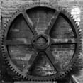 thumbnail image 2 of Bell, Lillian 26x26 Gold Ornate Wood Framed with Double Matting Museum Art Print Titled - Rustic Details III, 2 of 4