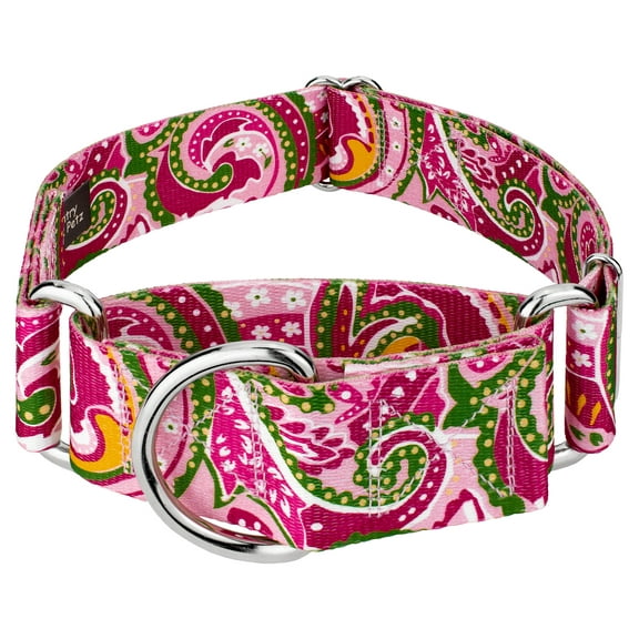 Country Brook Petz® 2 inch Pink Paisley Martingale Dog Collar, Large