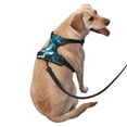 thumbnail image 3 of Picia Blue Kyanite No-Pull Dog Harness Reflective Front Clip Vest with Handle,Step-in Air Dog Harness,Adjustable 2 Metal Rings 4 Buckles,Easy to Put on & Take Off, 3 of 9