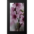 thumbnail image 2 of Phillip, Jamie 11x18 Black Modern Framed Museum Art Print Titled - Beautiful Pink, 2 of 5