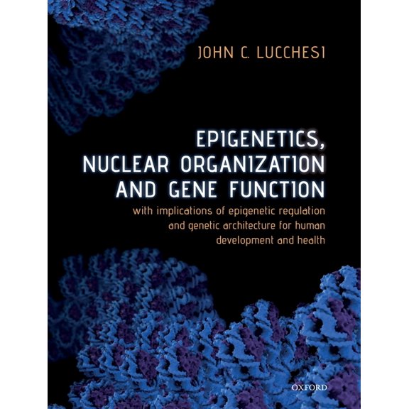 Epigenetics, Nuclear Organization & Gene Function: With Implications of Epigenetic Regulation and Genetic Architecture f, (Paperback)