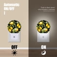 thumbnail image 3 of Round LED Night Lights Lamp with Dusk to Dawn Sensor, Lemon Tree With Leaves On Black And White Background Night Light Plug Into Wall for Kids Room, Bedroom, Bathroom, Kitchen, Hallway, 3 of 4