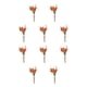 thumbnail image 3 of Kearding Elegancia atemporal en arreglos de flores y hojas secas Elegante ramo de flores secas naturales HS-15, 3 of 6