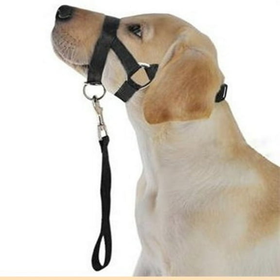 Soft Dog Head Collar, No Pull Training Tool for Small Medium Large Dogs on Walks, Gentle Training Collar and Control L