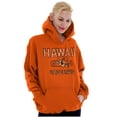 thumbnail image 4 of Hawaii Hibiscus Flower Distressed HI Unisex Plus Fleece Graphic Hoodie Brisco Brands 2X, 4 of 5