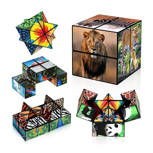 Juego de cubos mágicos Euclidean Star Cube 2 en 1, juguete infantil