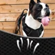 thumbnail image 3 of Arnés Para Perros Pequeños Y Grandes Con Correa Ajustable, 3 of 8