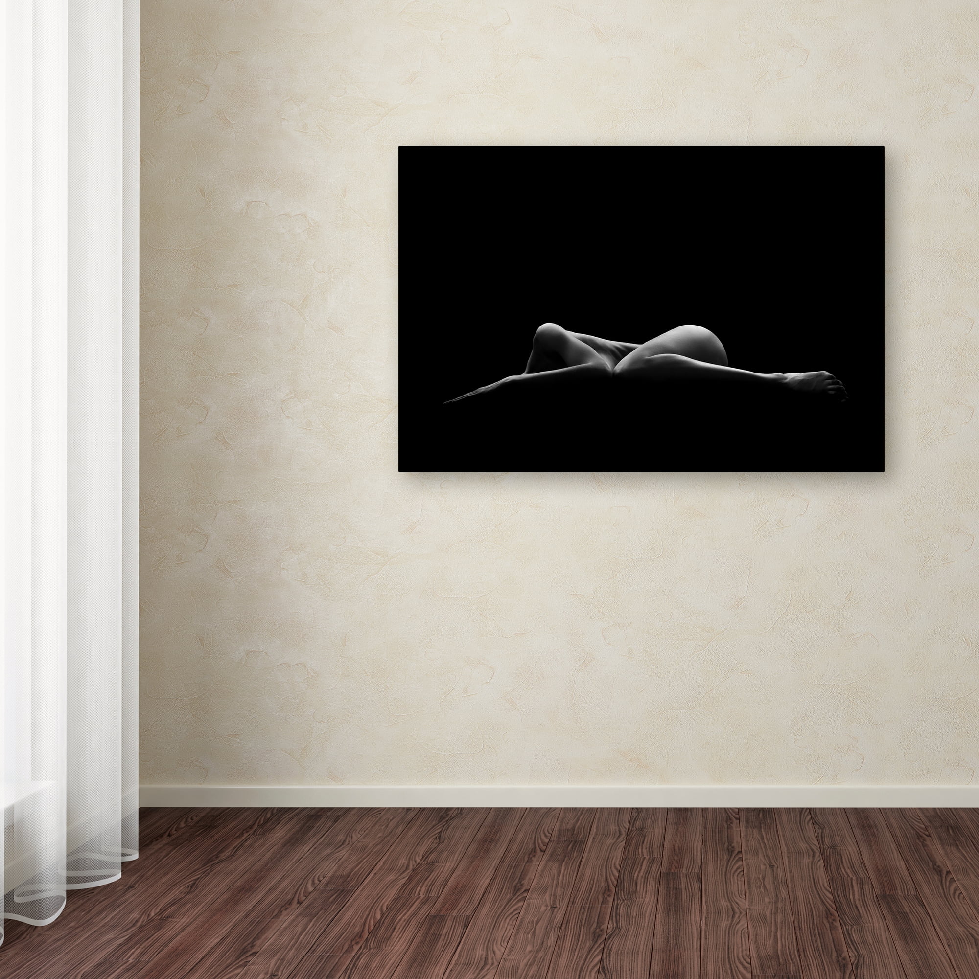 Leon Schr�der 'Bodyscape' Canvas Art