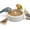 1 PCS, variant on Lethargic Pumice Stone Bird Feeder Bowl, 5.91 in x 1.57 in Natural Stone Feeding Dish, Stable One-Piece Design for Pet Birds