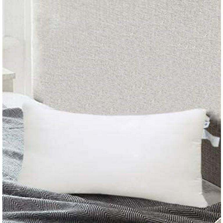  ACCENTHOME 18x18 Pillow Inserts (Pack of 2) Hypoallergenic  Throw Pillows Forms, White Square Throw Pillow Insert