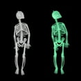 thumbnail image 6 of Luminous Plastic Skull Skeleton Body Scary Halloween Toy Prop 30cm Glow in Dark Green for Party Decorations Movable Limbs Gift, 6 of 9