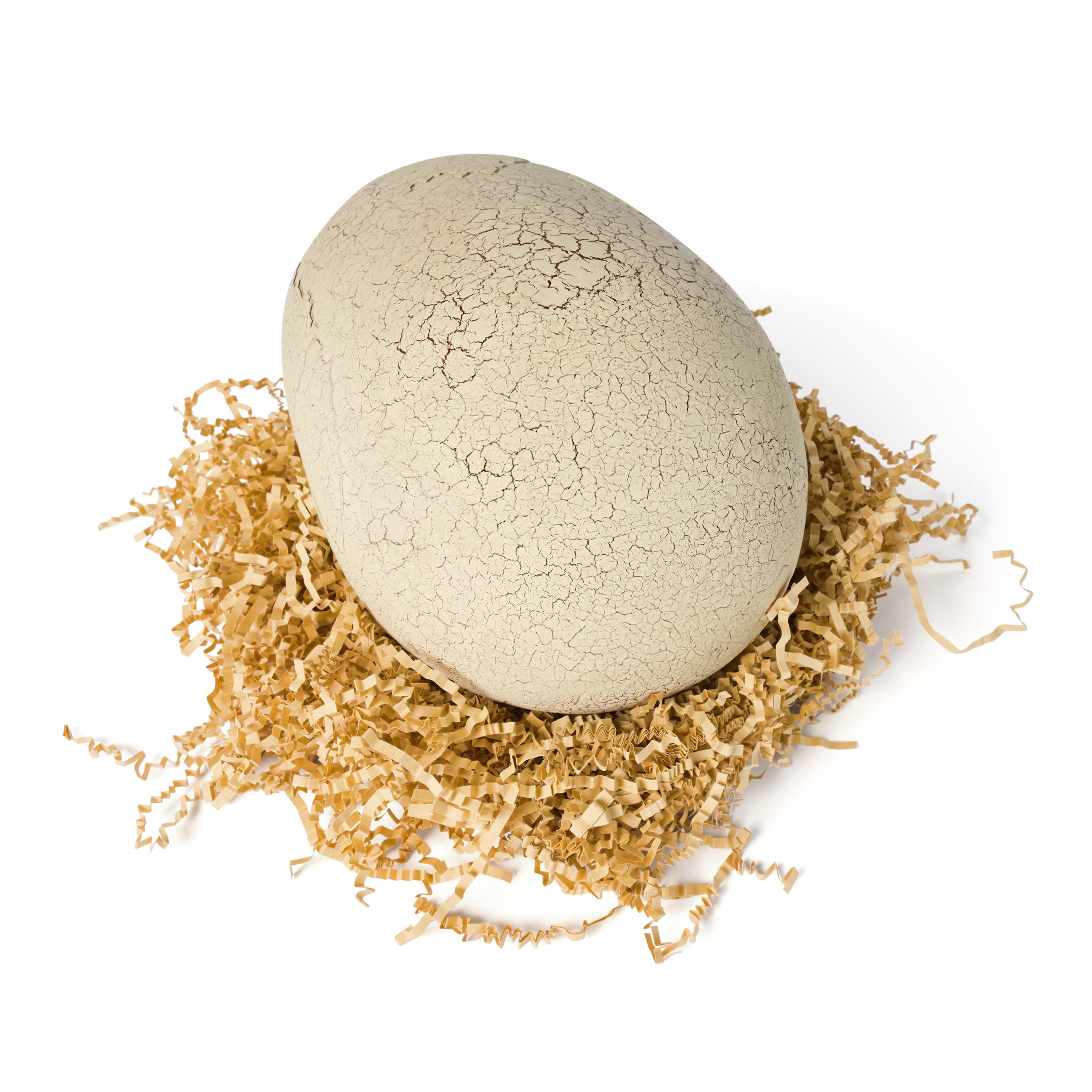 Jurassic World Primal Hatch Interactive Toy Dinosaur & Egg, Hatch & Train your own Baby Dino with 100+ Sounds & Reactions, Kids Toys for Boys & Girls Aged 5 & Up, Jurassic World Primal Hatch Interactive Toy Dinosaur & Egg, Hatch & Train your own Baby Dino with 100+ Sounds & Reactions, Kids Toys for Boys & Girls Aged 5 & Up