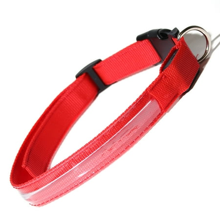 Paws & Pals Dog Collar LED Color Flashing Light Visible Night Walk - LG - Red