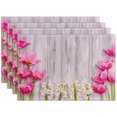 thumbnail image 1 of Nvzi Manteles individuales de lino, manteles para mesa de comedor, protectores de superficies,accesorios de decoración de cocina (juego de 4, tamaño 17,7 x 12,6 pulgadas, A69), 1 of 5