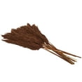 thumbnail image 6 of 35" Dried Plant Natural Foliage Pampas Bouquet with Long Stems, by DecMode, 6 of 8