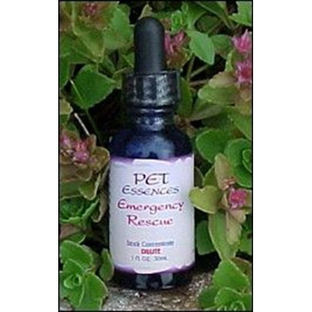 Pet Essences - Kidney Strengthener, For Pet Type(s): Dogs & Cats By Pet Essences