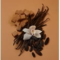 thumbnail image 2 of KAYALI Vanilla | 28 Eau de Parfum 1.7oz / 50ml, 2 of 4