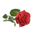 thumbnail image 2 of 20 Pieces/Kit Fake Roses Portable Solid Color Simulation Household Wedding Party Artificial Flower Branch Photography Prop, 2 of 10