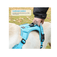 thumbnail image 4 of Pechera Arnés Airtag Con Correa Para Perros Extra Grandes xtellar azul, 4 of 4