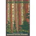thumbnail image 4 of Muir Woods National Monument, California, Forest View (1000 Piece Puzzle, Size 19x27, Challenging Jigsaw Puzzle for Adults and Family, Made in USA), 4 of 4
