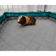 thumbnail image 3 of Guinea pig bedding 60x120 cm 2-pack GINISWEETY, 3 of 4