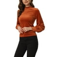 thumbnail image 4 of INSPIRE CHIC Women's Elegant Velvet Top Crew Neck Puff Long Sleeve Velour Blouse XS Caramel, 4 of 6