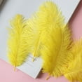 thumbnail image 2 of 50 Pcs Colourful Plumage For Wedding Party Centerpieces Flower Arrangement Home Decoration Diy Middle Floating Plume Hair Clothing Craft Decoration Plumage, 2 of 3