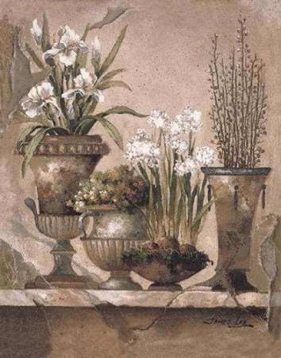 Floral Elegance Ii