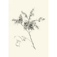 thumbnail image 3 of Rae, Nan 11x14 Black Modern Framed Museum Art Print Titled - Ink Wash Floral VII - Forsythia, 3 of 5