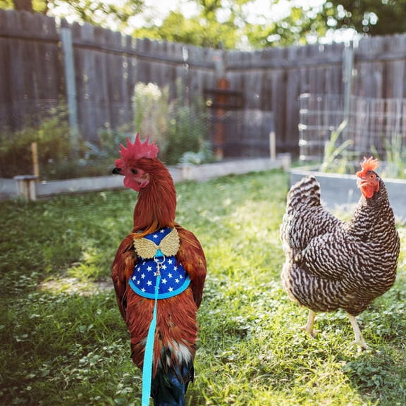 Supvox Fashionable Blue Chicken Vest Harness and Leash for Pet Birds