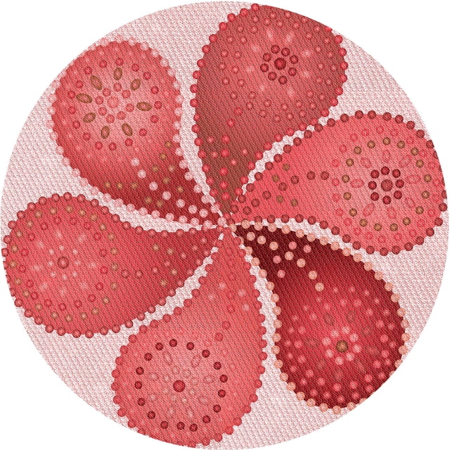 Ahgly Company Tapis d'Intérieur Lavable en Machine Carré Transitionnel Rose Pastel, 3 Pieds Carré