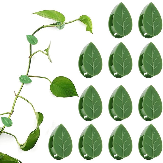 Fixing Wall Plant Clips, Self Adhesive Plant Fixer Plastic For Cable Wire Fixing