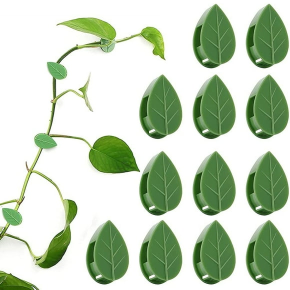 Pack Of 50 Self Adhesive Plant Holders Plant Connector Clip Climbing Plants Fixing Wall Plant Clips For Supports Planting