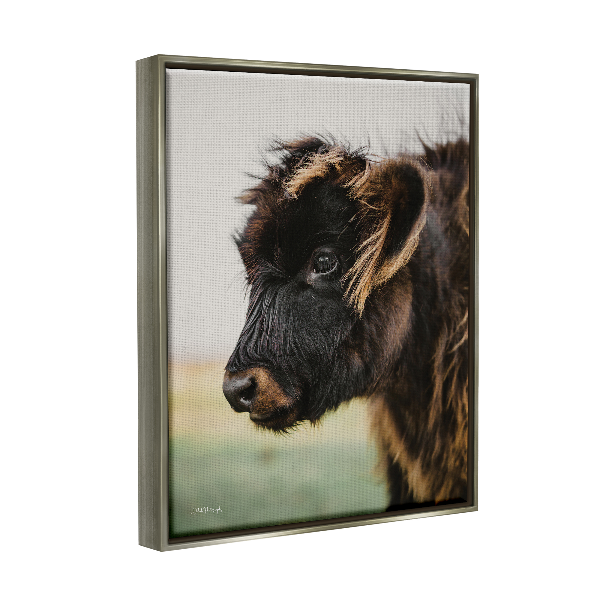 Stupell Industries Baby Cow Photography Animals & Insects Photography Gray Floater Framed Art Print Wall Art, 17 x 21