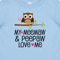 thumbnail image 4 of Inktastic My Meemaw and Peepaw Love Me Grandchild Owl Girls Baby T-Shirt, 4 of 5