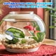 thumbnail image 4 of 2 camas para Betta, túneles para acuario con hojas de descanso para peces Betta, cueva transparente para escondites de peces Betta, casa para Betta, accesorio para pecera, 4 of 7