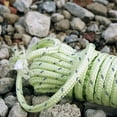 thumbnail image 4 of SWETRACE 1Pack Luminous Cord Green for Campers Reflective Tent Rope Guyline, 4 of 5