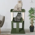 thumbnail image 4 of Lulu 2-Tier Cat Tree Tower for Indoor Cats – Large Cat Tower & Cat Condo for Large Cats | Cat Tree House:Green, 4 of 9