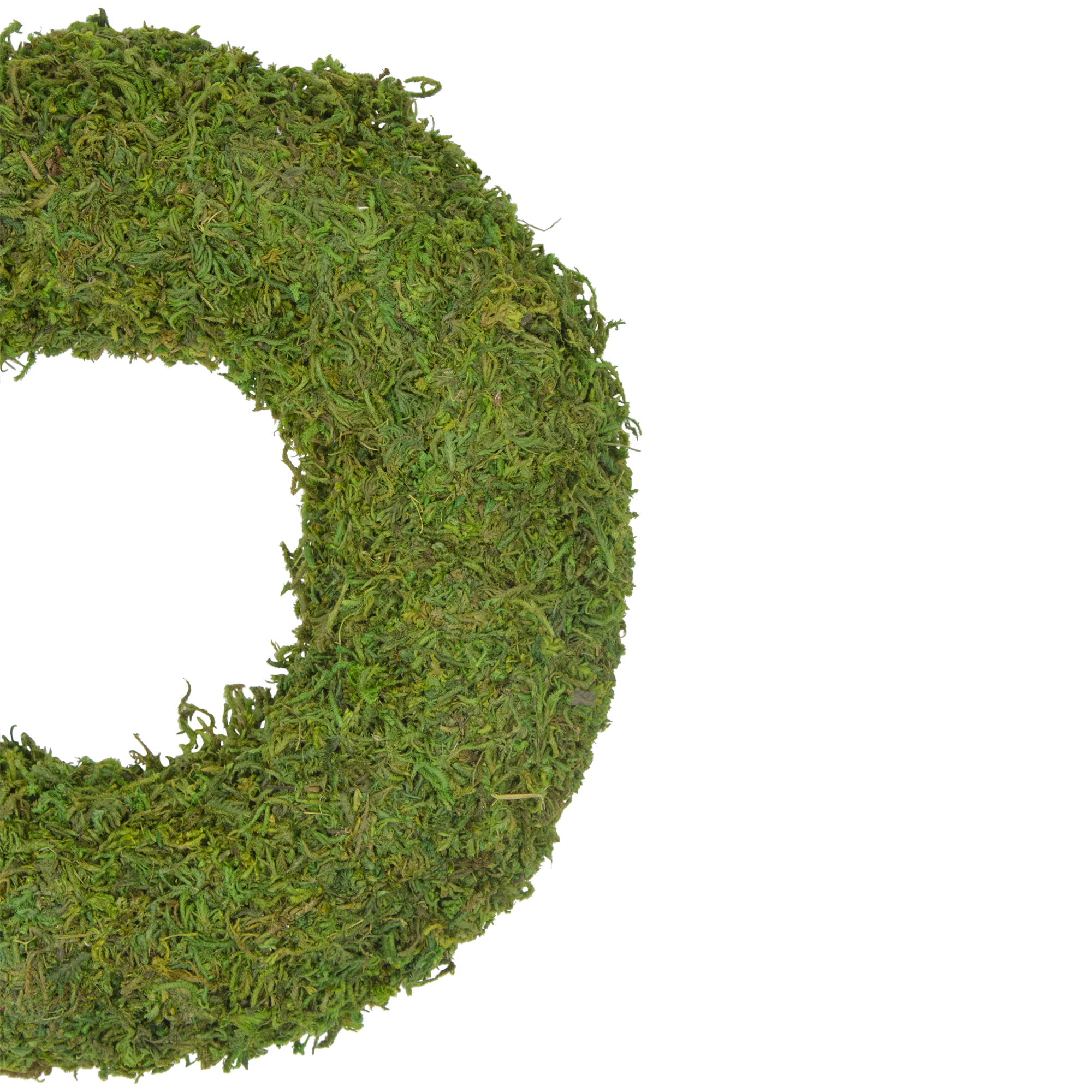 Northlight Floral Foam Reindeer Moss Artificial Floral Spring Wreath, 13.7" (Green)