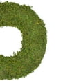 thumbnail image 3 of Northlight Floral Foam Reindeer Moss Artificial Floral Spring Wreath, 13.7" (Green), 3 of 3